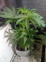 20201121_005920_HDR.jpg