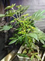 20201121_010433.jpg