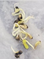 20201121_031923.jpg