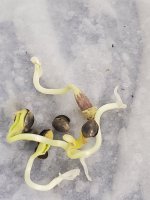 20201121_031928.jpg