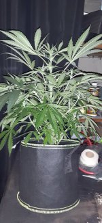 20201121_084226.jpg