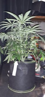 20201121_084324.jpg