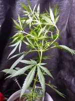 20201120_104448.jpg