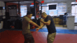 shank.gif