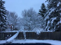 IMG_2842.JPG