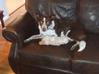 20201123_082751.jpg