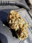 20180506_095329.jpg