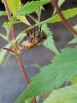 20180717_063624.jpg