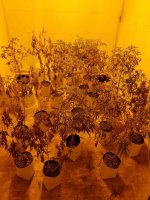 20201127_191459.jpg