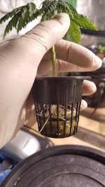 20201203_162515.jpg 20201203_162515.jpg