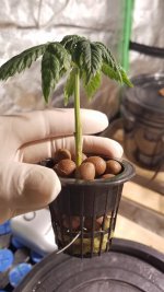 20201203_162553.jpg 20201203_162553.jpg