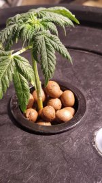 20201203_162651.jpg 20201203_162651.jpg