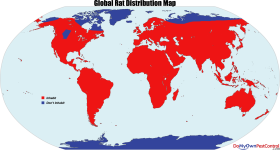 rat_distribution_map_global.png