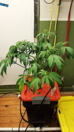 20201209_101046.jpg