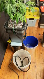 20201209_143622.jpg