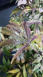 20201210_003255.jpg 20201210_003255.jpg