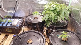 20201210_004052.jpg 20201210_004052.jpg