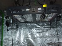 20201213_102728.jpg