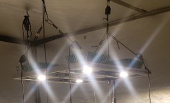 20200619_214216.jpg