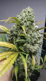 20201215_214100.jpg 20201215_214100.jpg