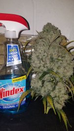 20201215_214240.jpg 20201215_214240.jpg