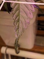 PXL_20201216_032450009.jpg