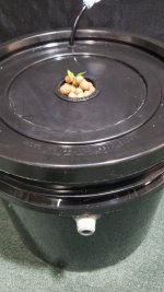 20201216_204631.jpg 20201216_204631.jpg