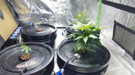 20201216_204823.jpg 20201216_204823.jpg