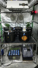 20201218_130843.jpg 20201218_130843.jpg