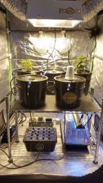 20201218_131727.jpg 20201218_131727.jpg