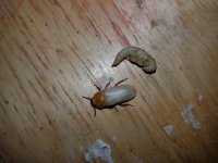 20201218_143333.jpg