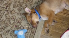 20201219_111721.jpg