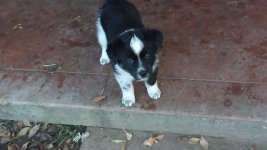 20201219_114421.jpg