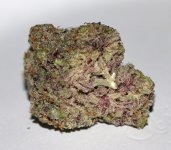 IMG_0735.jpeg