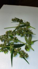 20201219_122234.jpg