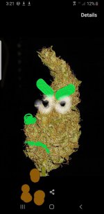 grinchbud.jpg