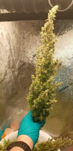 20201220_171731.jpg
