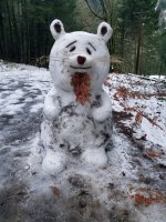 20201226_160817.jpg
