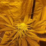 20201229_010025.jpg