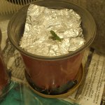20201229_005858.jpg