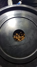 20201217_015441.jpg
