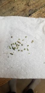 20201231_072408.jpg