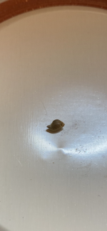 19F444B2-C0AD-4742-A800-330008A1497F.png