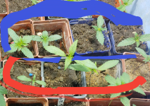 Capture+_2021-01-13-13-22-51_(1).png