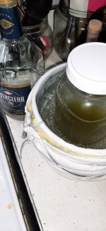 20210115_172649.jpg