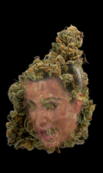 8FAB89CE-74FA-4C71-B5A9-38196C32A3BB.png
