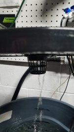 20210124_150924.jpg 20210124_150924.jpg