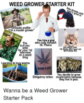 weed-grower-starter-kit-fake-dreads-until-yours-grow-irn-39852799.png
