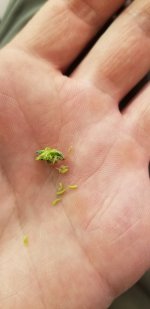 20210128_125109.jpg 20210128_125109.jpg