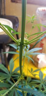 20210215_085308.jpg 20210215_085308.jpg